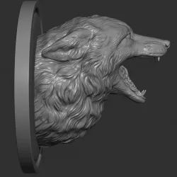 Fox grin head
