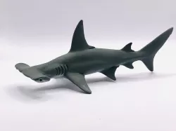 Hammerhead shark hammerhead shark