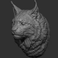 Lynx head