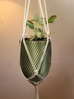 Macrame Hanging Planter 3