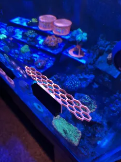 Magnetic Frag Rack