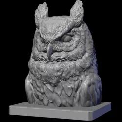 Owl head