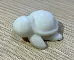 P'tite Tortue - Little Turtle