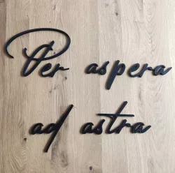 Per aspera ad astra sentence wall decor
