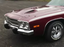 Road Runner plymouth 1973 w