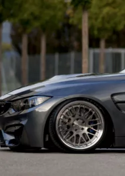 Rotiform LVS