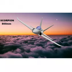 Scorpion 800mm pusher jet