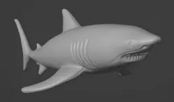 SHARK