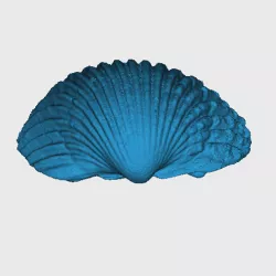 Shell