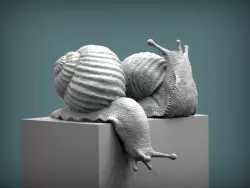 Snail 3D print model