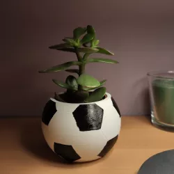 Soccer Ball  ikea mini cactus pot
