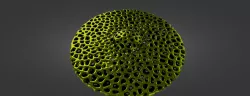 sphere
