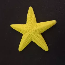 Starfish