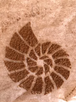 Stencil coffee - Sea Shell