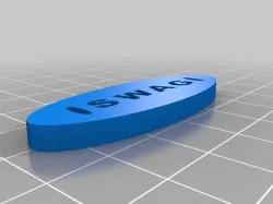 Swag Paper weight