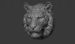 Tiger toothy