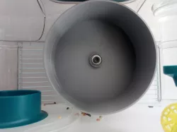 ultra silent hamster wheel
