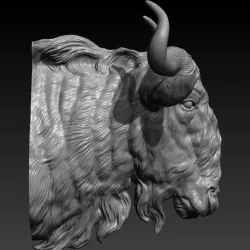 Wildebeest head