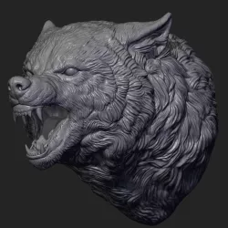 Wolf face head