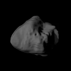 5535 Annefrank approximate shape scaled one in eighty thousand