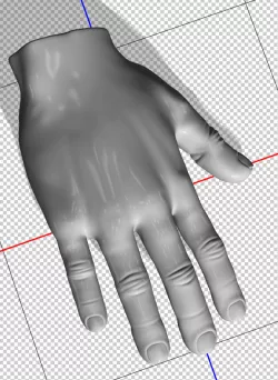 Arm