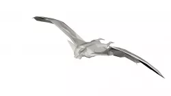 Bat