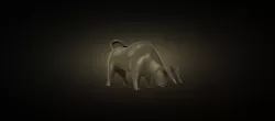 Bull