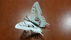 butterfly