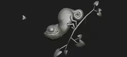 chameleon