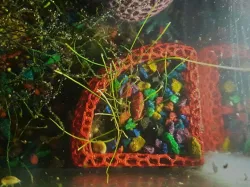 Corner aquarium planter