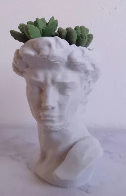 David pot