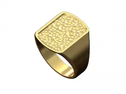 Dog tag signet with hammered textured top US sizes 6to9 3D print model