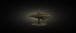 Dolphin