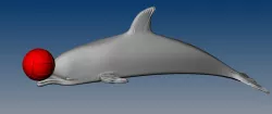 DOLPHIN