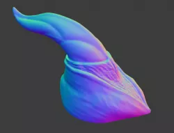 Dolphin