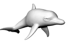 Dolphin