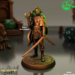 Elliot, Drow Rogue