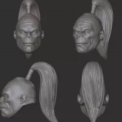 Goro head