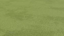 Green Carpet PBR Texture