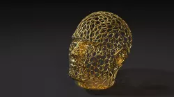 Head 2