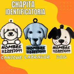 Key ring / dog tag