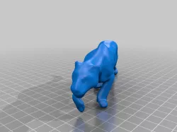 Lion Test  CR-Scan 01