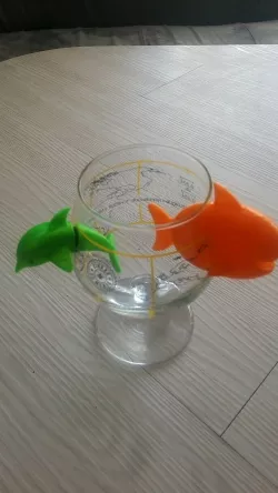 Magnet fish