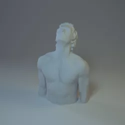Male Bust