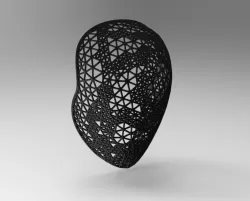 mask mask voronoi