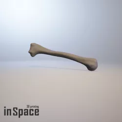 Medical design - Humerus