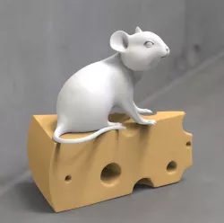 mouse