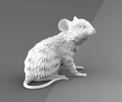 mouse