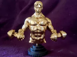 No Pain No Gain Bodybuilding Trophy