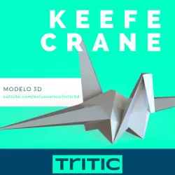 Origami Crane